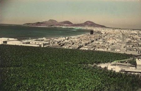 Fincas de Guanarteme, vista al Puerto de la Luz (año 1950)